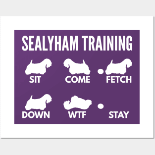 Sealyham Training Sealyham Dog Tricks Posters and Art